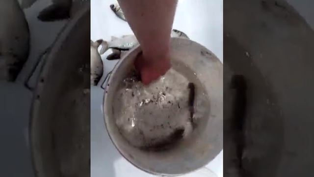 Рыбалка норм смотреть онлайн