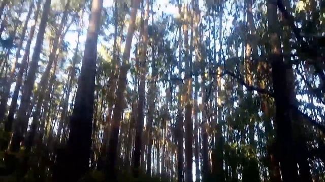 Екатеринбург, ЖБИ, Каменные палатки, Шарташ, Пикаев Владимир смотреть онлайн