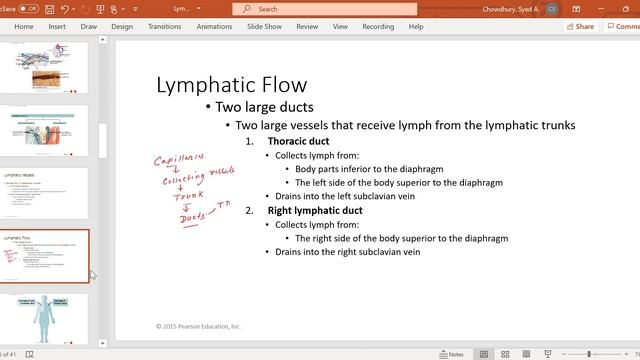 Lymphatic System смотреть онлайн