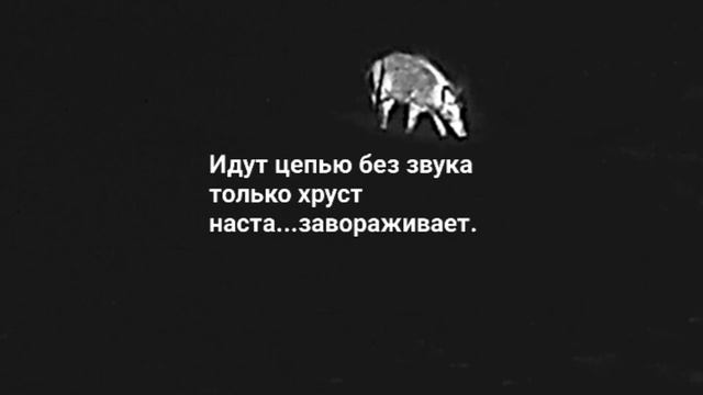 Идут цепью.mp4 смотреть онлайн