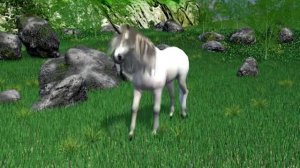 Хроники Амбера  (The Chronicles of Amber Roger Zelazny)