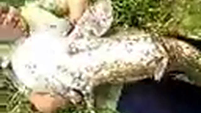 крупный днепровский сом смотреть онлайн