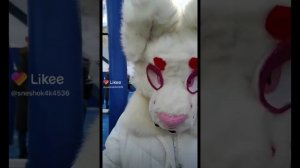 Рапторы и Фурри!?из ТТ и Лайка? |подборка| ????? ????