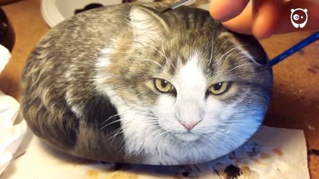 кот на камне смотреть онлайн