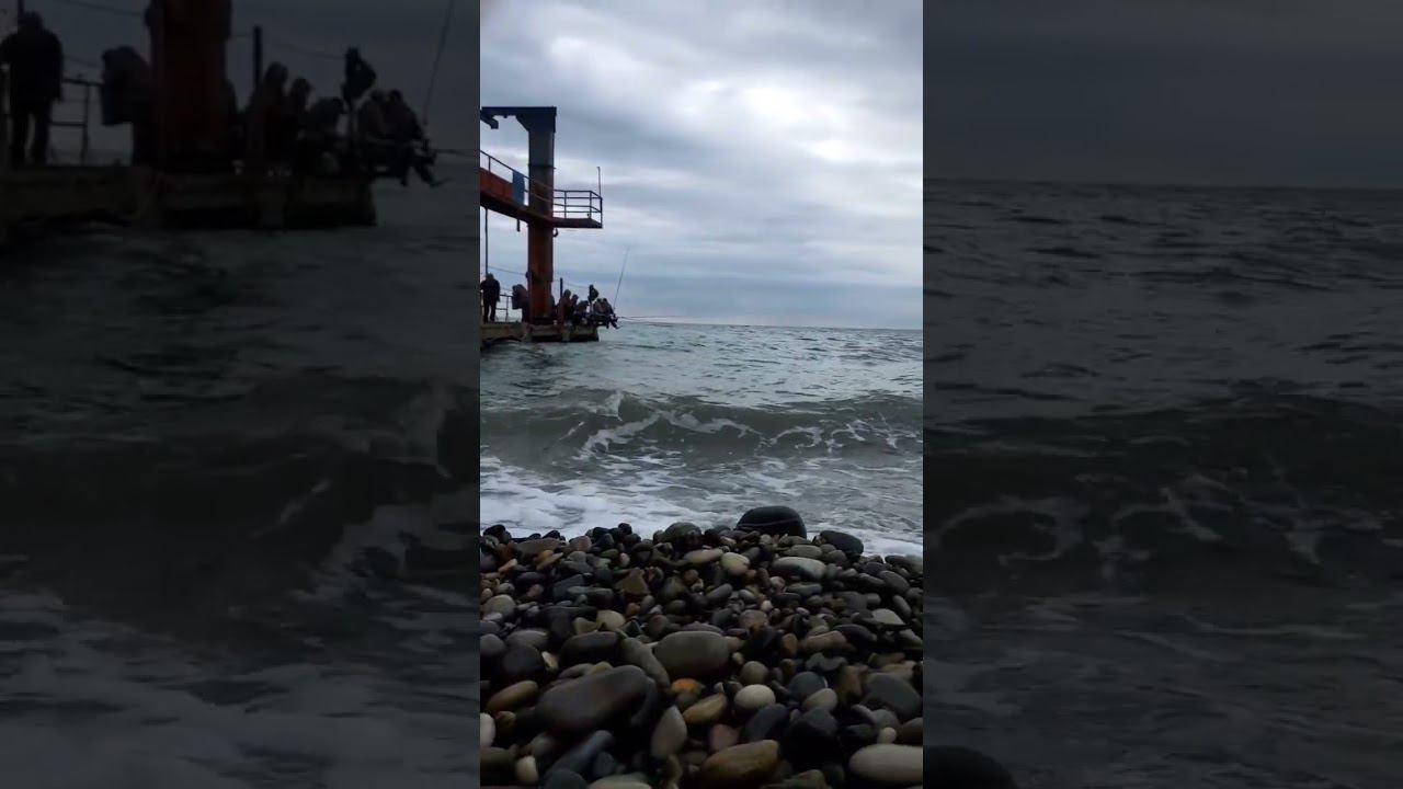 09.11.22 г.Погода Лазаревское #shorts #погодалазаревское #погодасегодня #погодасочи смотреть онлайн