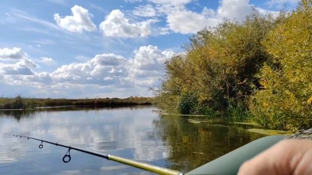 ЩУКА С РЕКИ ИШИМ/ОСЕННЯЯ РЫБАЛКА