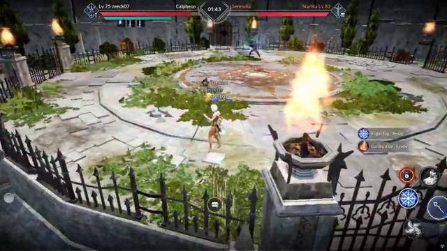 Archmage vs Archer, Black Desert Mobile Global Server Calpheon. смотреть онлайн