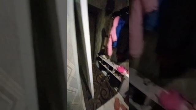 Продается 1 ком квартира по адресу: Воронеж, улица Богдана Хмельницкого, 46А смотреть онлайн