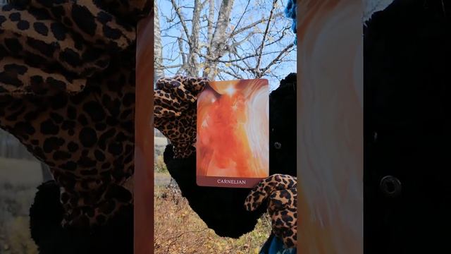 ?Crystal Oracle NEW EDITION ?Wisdom From The Heart Of The Earth ?Toni Carmine Salerno ? смотреть онлайн