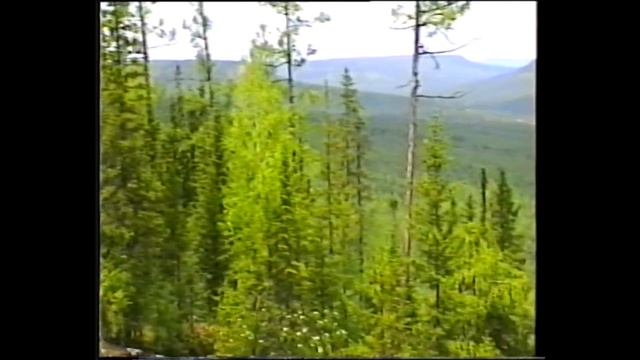 Тайга. Восточная Сибирь, Иркутская область, город Усть - Кут. смотреть онлайн