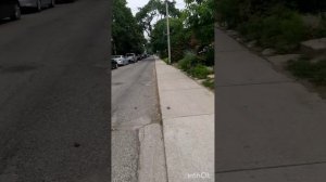Влог 131 Пятничная жизнь в Торонто💃Радужные Волосы🌈Бадминтон🏸Церковь или Мечеть🕌Пицца🍕