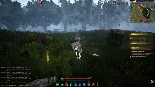 Black Desert Online Private Server Project смотреть онлайн