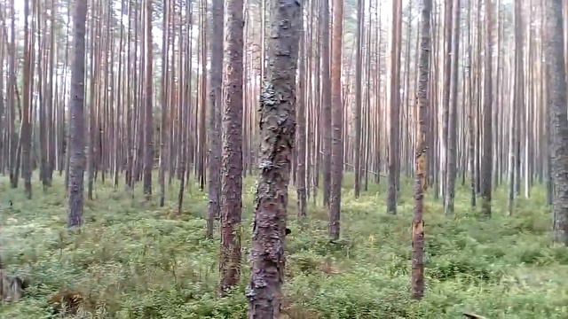 Угадай откуда пришел) смотреть онлайн