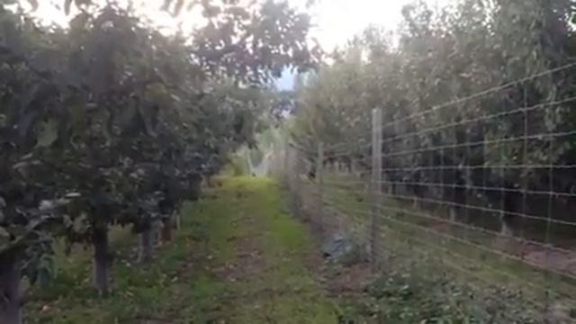 Go git em смотреть онлайн