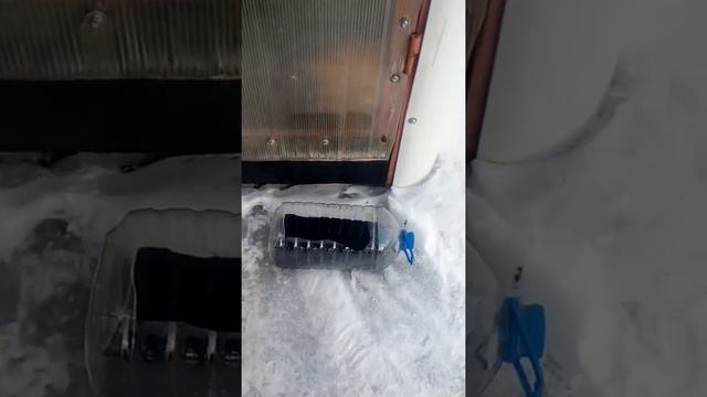 Замена масла в двигателе мотобуксировщика Бурлак Эко Букс смотреть онлайн