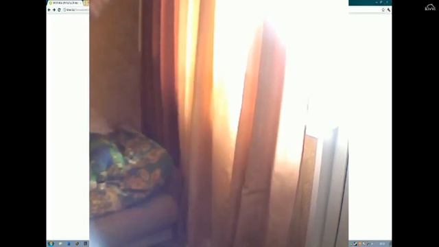 Думик за дрот (звезда киви) смотреть онлайн