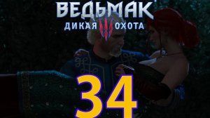 Ведьмак 3: Дикая охота Прохождение ч34 - Трис это Брат Герванта