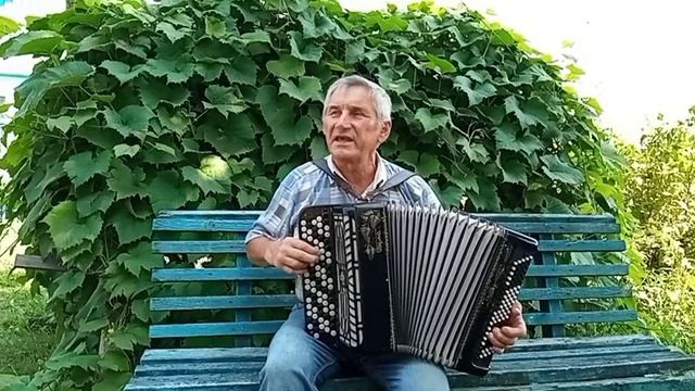 белая берёза любительское исполнение баян смотреть онлайн