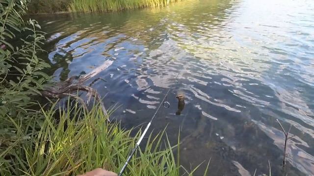 Мормышинг на озере Чехойдарово. НАВАХО мормышка 198 см, 02-1г четырех частник смотреть онлайн