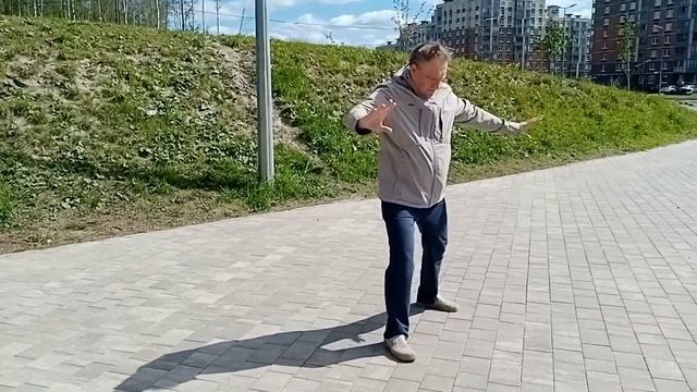 Тайцзицюань 108 форм стиль Ян