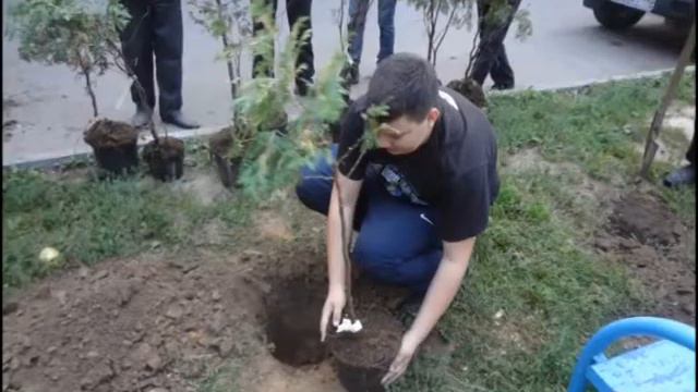 проект Чистота вокруг нас Востряковский лицей №1 смотреть онлайн