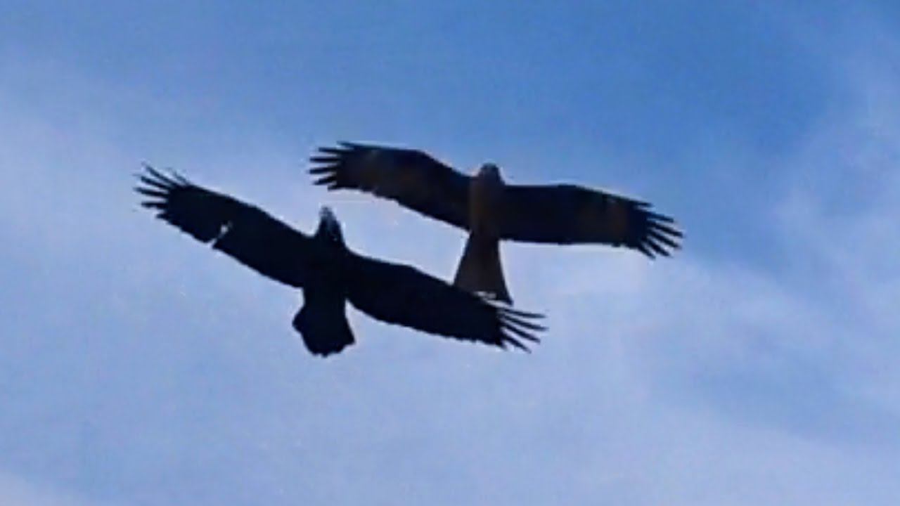 Разговорчики про жизнь. смотреть онлайн