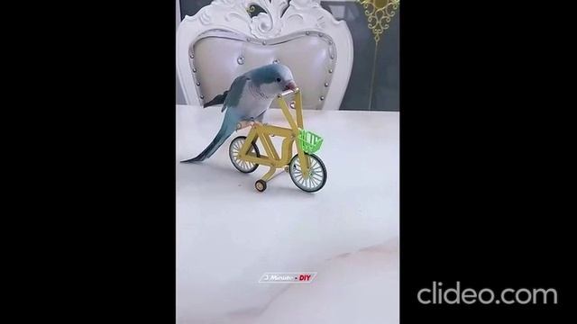 07.06 ближе к вечеру смотреть онлайн