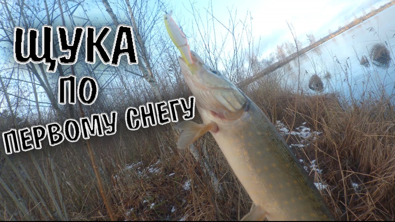 Щука По Первому Снегу/Рыбалка На Спиннинг смотреть онлайн