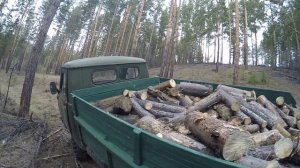 Ездил за валежником. Неожиданная встреча с подписчиком.