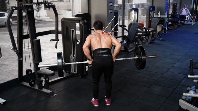 Reverse Grip Barbell Bent Over Row | 4K смотреть онлайн