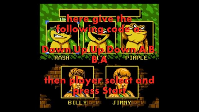 NES Battletoads and Double Dragon Cheat Mega Warp Zone and 10 Lives смотреть онлайн