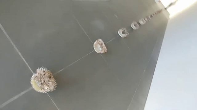 Neues Museum Nürnberg, Современное Искусство, Выходной смотреть онлайн