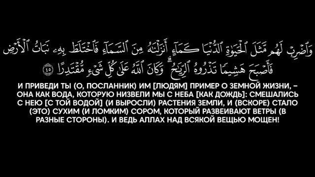 Ясир аль Даусари | Сура аль Кахф. С переводом. 1425 г.