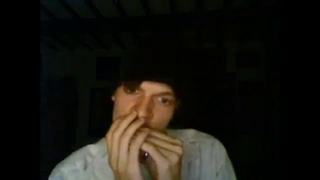 Heart of Gold - Harmonica смотреть онлайн