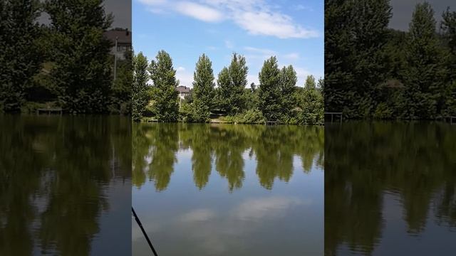 Берёзовка, Харьковский район, рыбалка смотреть онлайн
