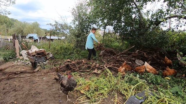 Стройка дома. Наружная отделка.