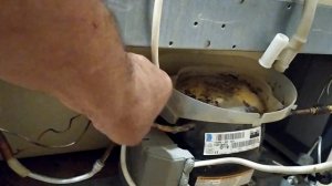 ремонт холодильника indesit.