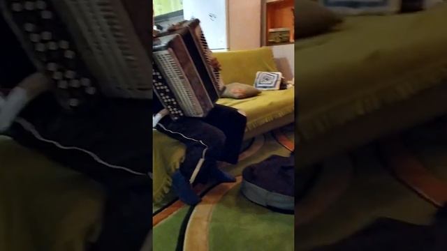 Выступление Тойки смотреть онлайн