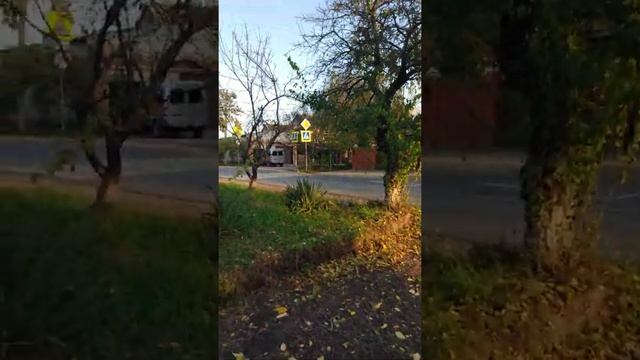 Краснодарская осень.#краснодар #пашковка смотреть онлайн