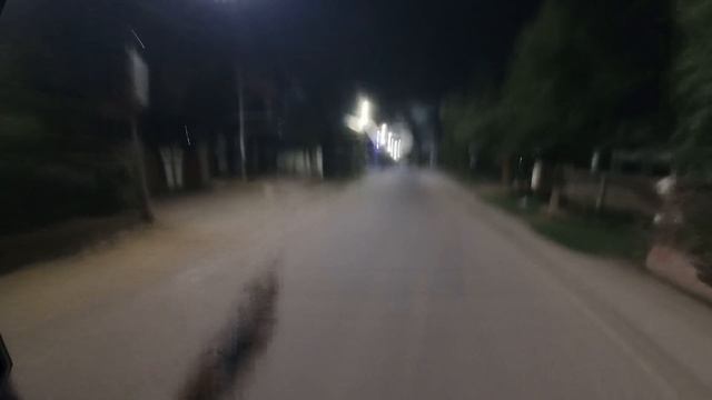 Serbian Dancing Lady vs Parkour pov in india ? смотреть онлайн