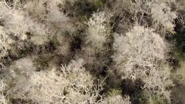 РТУТНЫЙ ДВИГАТЕЛЬ ГИТЛЕРА смотреть онлайн