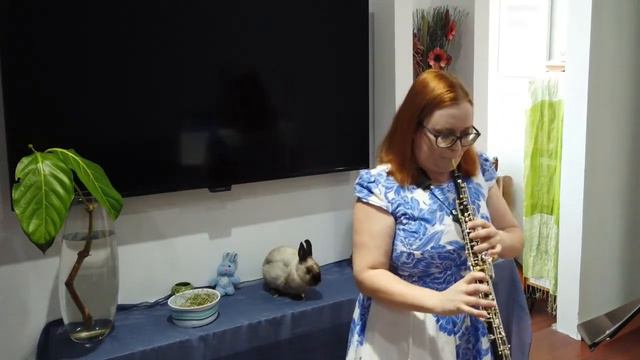 Telemann: Fantasia No. 9 in E Major, IV. Vivace смотреть онлайн