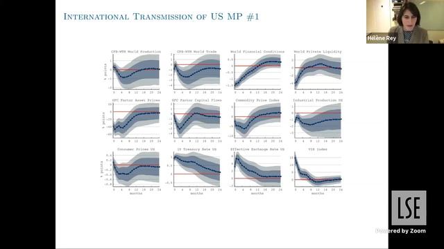 Monetary Policy and Financial Cycles | LSE Online Event смотреть онлайн
