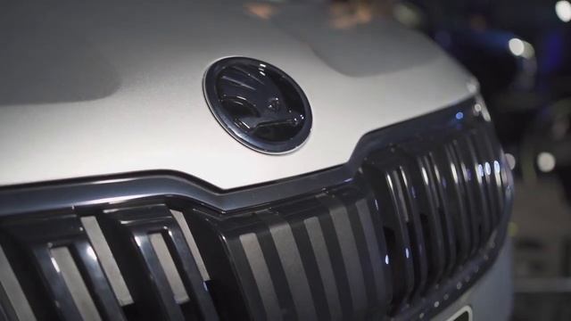 Skoda Karoq,  ТЕСТ ДРАЙВ, Шкода Карог,  ОБЗОР 2020 #SkodaKaroq