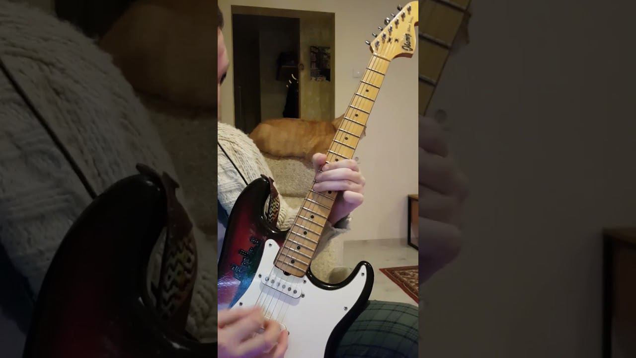 Black Sabbath - War Pigs / Zakk Wylde guitar solo cover смотреть онлайн