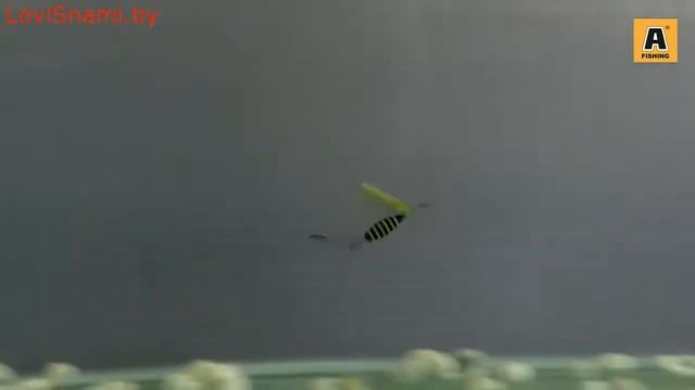 Вращающаяся блесна Akara Lite Series Spin Bee (обзор эксперта) смотреть онлайн