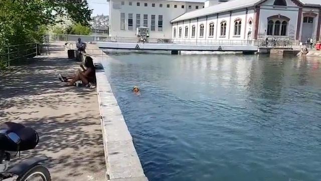 21.4.2018 Цюрих, шарманщик, собачки, вилла Роза. смотреть онлайн