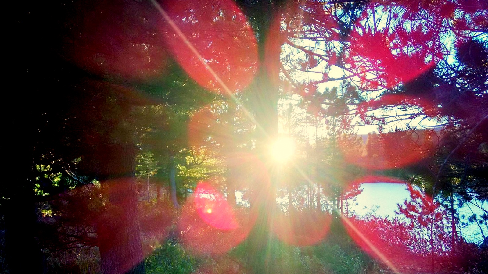 Готовые к Переходу. Как вам научиться жить одновременно в двух измерениях — третьем и четвертом.