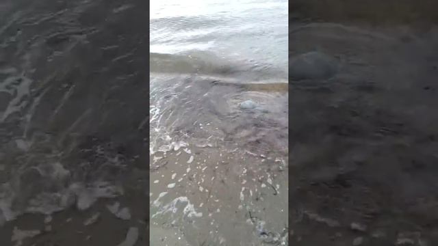 Прогулка по морю Анапа...какой грязный стал пляж смотреть онлайн