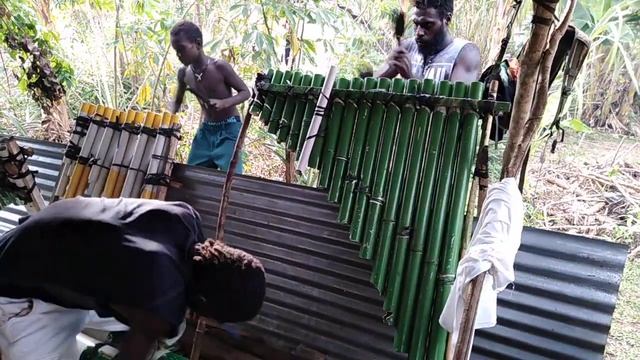 Bougainville Bamboo band(Niu13) смотреть онлайн